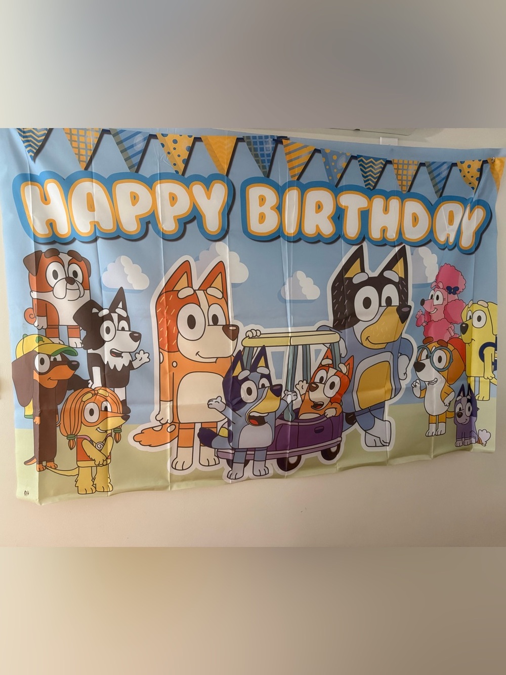 Bluey Happy Birthday Party Backdrop Banner -